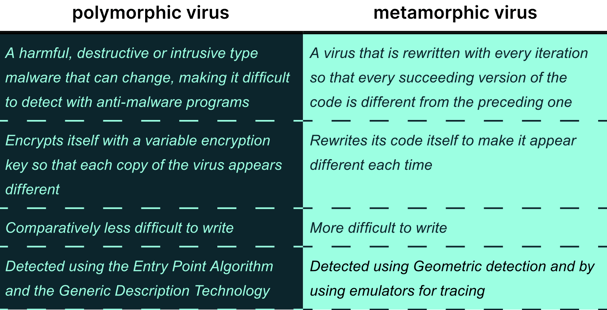 polymorphic vs metamorphic 